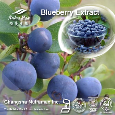 Blueberry Extract Juice 65 Brix(sales06@nutra-max.com) ()